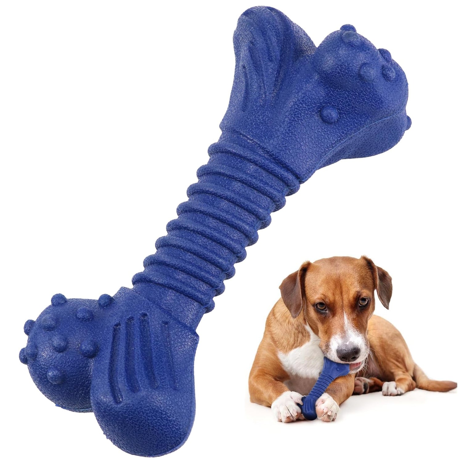 Chew Toys